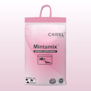 Mintamix®