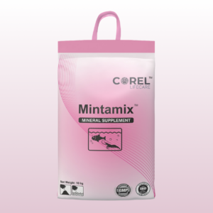 Mintamix®